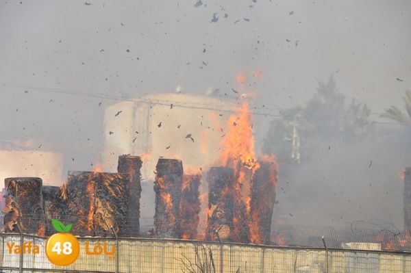 firecartoonsecnd506 (28).JPG